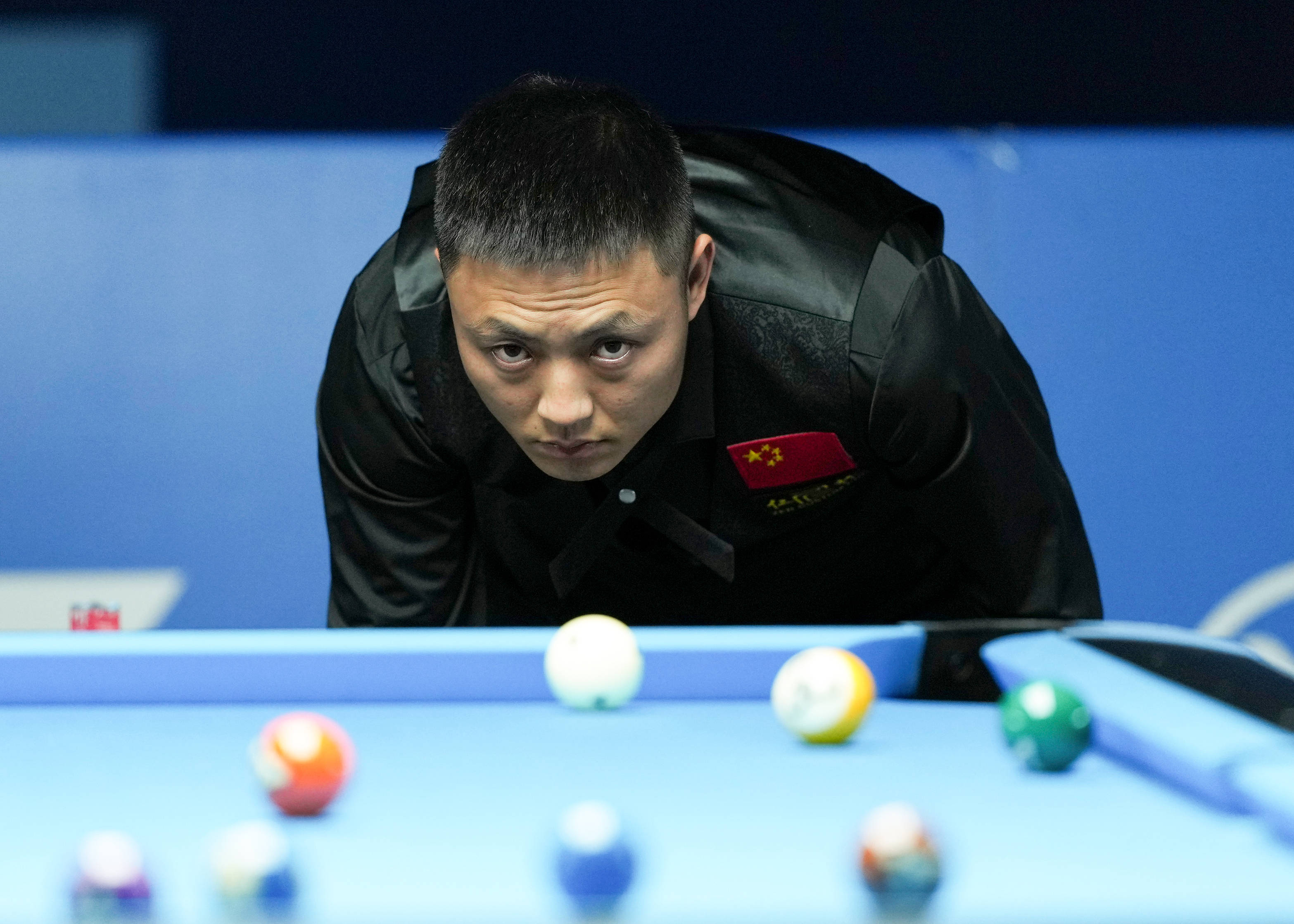 锦标赛科利 锦标赛科利